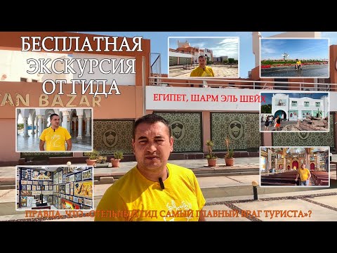 Видео: Бесплатная экскурсия от гида. Стоит ли потерять пол дня или лучше остаться в отеле #sharmelsheikh