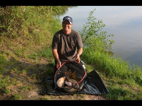 Видео: Классический  флэт  фидер на коммерческом водоёме. Часть 2.