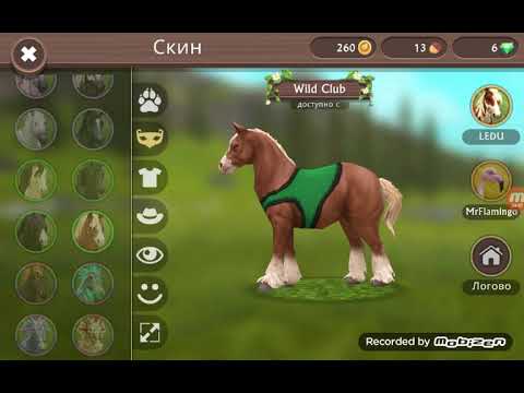 Видео: ПОКУПАЕМ ВАЙЛД КЛУБ В ВАЙЛД КРАФТЕ!!!!!!!!!!!