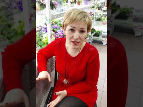 Видео: Фитилный полив / Фиалки на фитильном поливе.