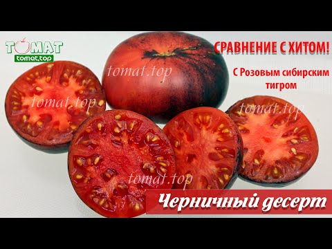 Видео: Томат Черничный десерт. Что с ним не так? Что общего с Розовым Сибирским тигром? Сравнение сортов