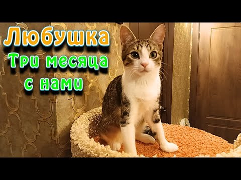 Видео: Любушка. Три месяца с нами. 
