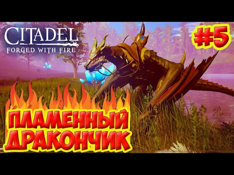 Видео: Citadel: Forged with Fire #5 ☛ Пламенный дракон, страж леса и ирисит ✌