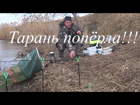 Видео: Зимний фидер  Тарань в январе  Рыбалка в Ставрополье
