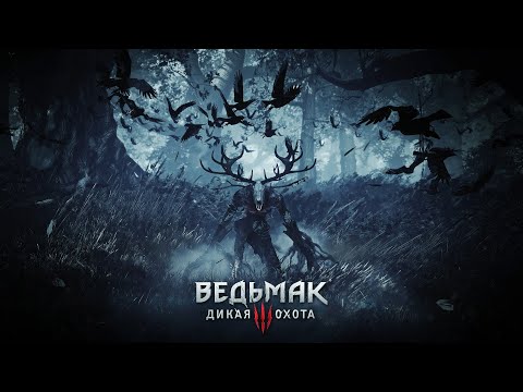 Видео: Ведьмак 3. Дико охотимся. !интерактив (7)