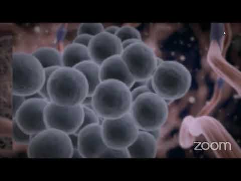 Видео: Достижения в торакоабдоминальной онкологии в XXI веке. Зал #02