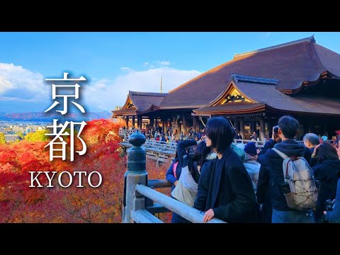 Видео: Осень в Киото | Лучшие места для наблюдения за осенней листвой | Видеоблог о путешествиях по Японии