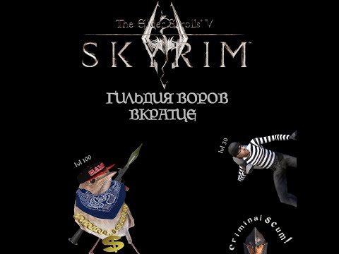 Видео: TES V SKYRIM | Гильдия Воров. Вкратце