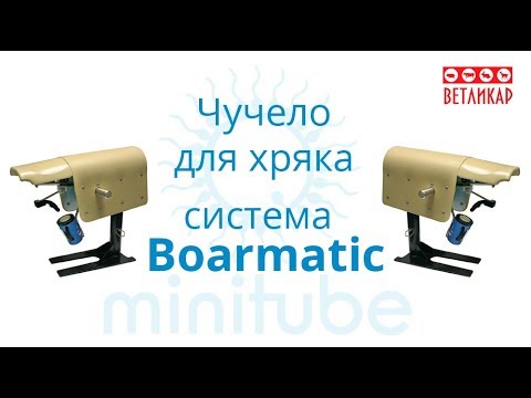 Видео: Чучело для хряка с системой BoarMatic