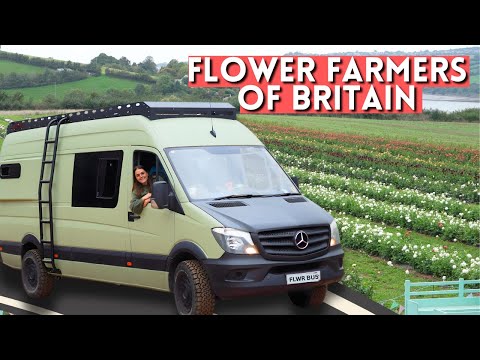 Видео: Я посещу каждую цветочную ферму в Великобритании 🌸🇬🇧
