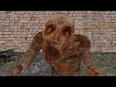 Видео: Спасибо за Скример - STALKER Истинный Путь 2.1 #9