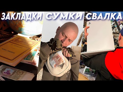 Видео: Удивительный мир находок: Первая Поисковая Программа (ППП) 2 ВЫПУСК