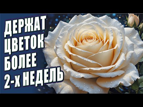 Видео: СОРТА РОЗ, КОТОРЫЕ ДЕРЖАТ ЦВЕТОК БОЛЕЕ ДВУХ НЕДЕЛЬ. РОЗЫ В САДУ.