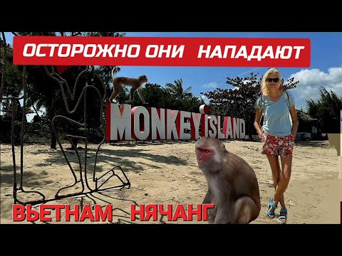 Видео: Внимание! Зачем брать экскурсию? Как добраться на остров диких обезьян самим. #нячанг #вьетнам