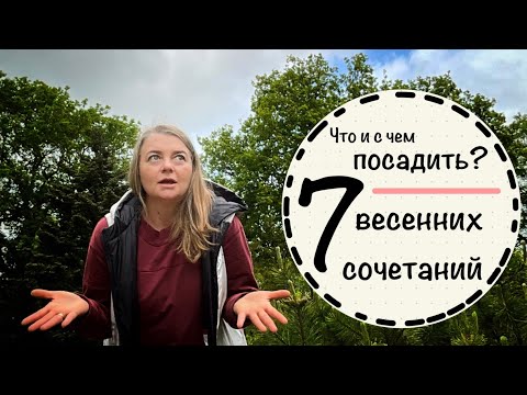 Видео: ￼☘️Топ 7  красивейших  сочетаний весны ☘️какие растения сочетаются друг с другом ☘️Стригу лаванду☘️