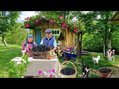 Видео: Ежевичный Пирог и Варенье для всей семьи — быстро и вкусно. Жизнь в деревне 🌱