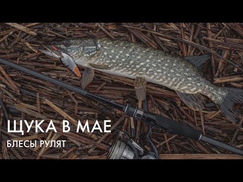 Видео: Ловля щуки весной 🎣 Блесны рулят!