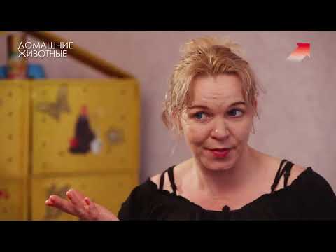 Видео: Цирковые семьи. Кошки. Кристина Солиман