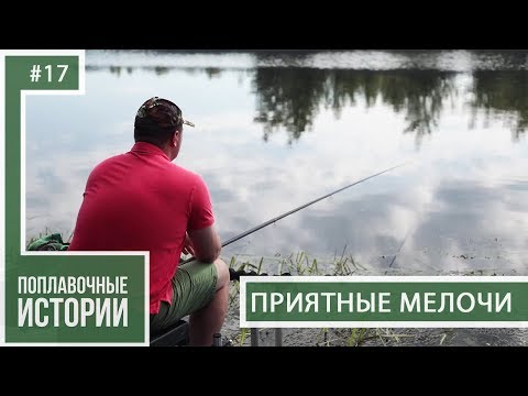 Видео: Приятные Мелочи.  Дмитрий Борсук | Поплавочные Истории №17