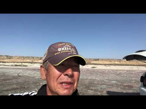 Видео: Двадцать одна кефаль