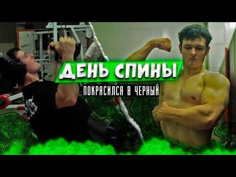 Видео: День спины | тренировочный влог