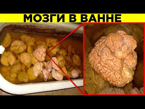 Видео: Самые Жуткие Находки Городских Исследователей