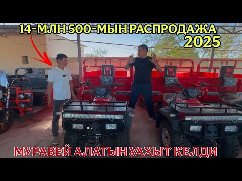 Видео: МУРАВЕЙ АЛАТЫН УАХЫТ КЕЛДИ/ЕН АРЗАН БАХАДА/ЖАЙХУН МОТОРС/ОЗИМИЗДИН БРЕНД