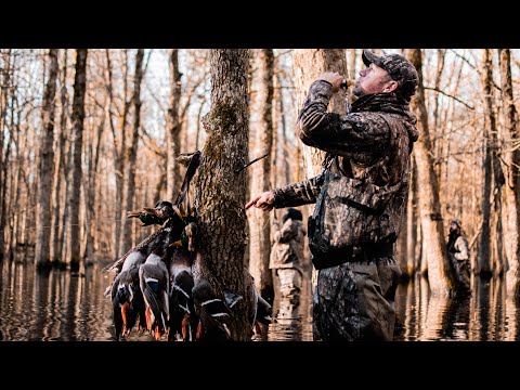 Видео: Нереальные кадры с утками | Полные возможности в лесах Арканзаса | В лес с Расти Кризи