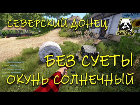 Видео: Русская рыбалка 4. рр4. Северский Донец. Окунь солнечный.