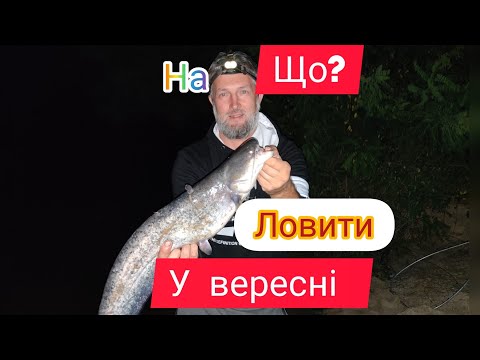 Видео: Нічна риболовля на сома на річці Дніпро у вересні: Пошук великих здобичей