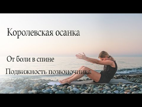 Видео: Осанка | Подвижность позвоночника | тренировка от боли в спине 👌🏻