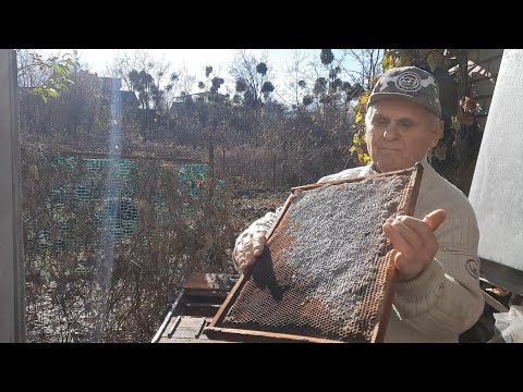 Видео: Пасека осенью. Что делать если клуб пчел собрался не правильно