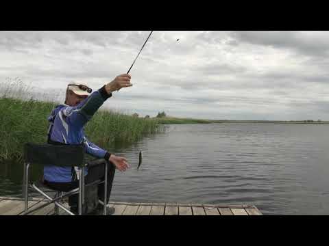 Видео: Уклейка на поплавок. 1 серия. Как поймать больше всех уклейки.