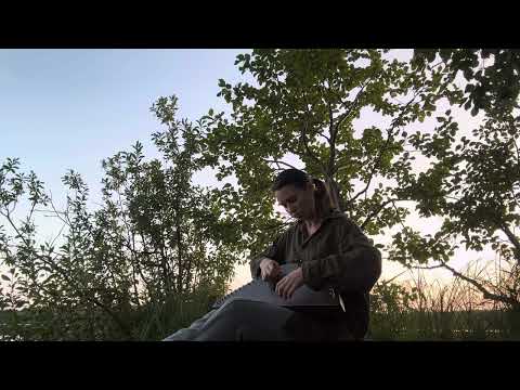 Видео: Гусли Ежик «Импровизация»