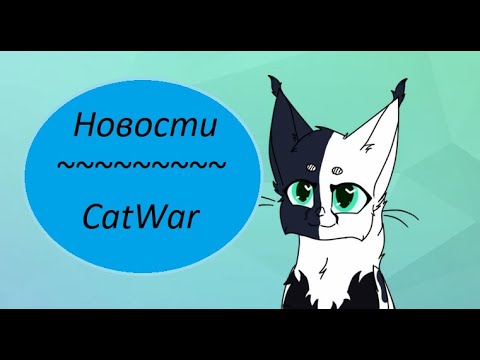 Видео: Пара новостей / CatWar