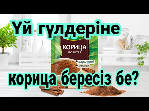 Видео: Гүлге Корица бересіз бе? Карицаның үй гүлдеріне әсері. Үй гүлдерінің күтім. Түрлі гүлдер күтімі.