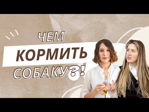 Видео: ЕЛЕ ВЫТАЩИЛИ СОБАКУ С ТОГО СВЕТА! Чем кормить, ест кал,  текут глаза, мало ест