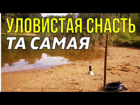 Видео: Как ЛОВИТЬ на РЕЗИНКУ? Ловля на Резинку Карася и Плотвы с берега!