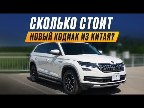 Видео: Skoda Kodiaq из Китая - сколько стоит?