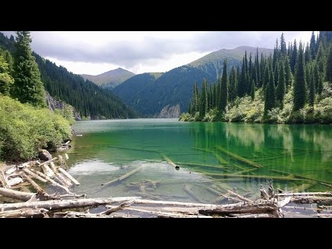 Видео: Как поймать дикую форель|Кольсай| рыбалка в алматы2022