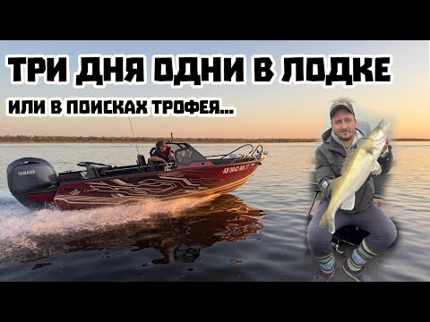Видео: Нижняя Волга. Живем в лодке. Тренировки к "Трофею Райгорода".