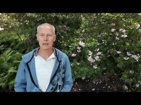 Видео: Ресурс, который теряет человек. Что, как, почему и что делать? Укрепите себя.