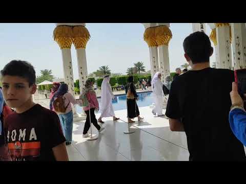 Видео: ОАЭ  Абу-Даби. Второй день отдыха. 😇😇😇