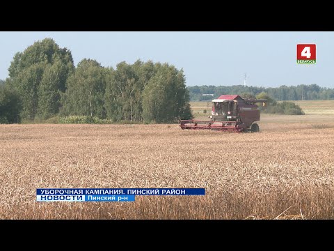 Видео: УБОРОЧНАЯ КАМПАНИЯ. ПИНСКИЙ РАЙОН