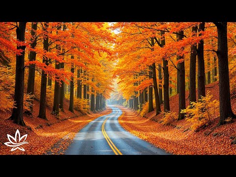 Видео: Красивая расслабляющая музыка и осенний пейзаж 🍂 Музыка для исцеления, снятия стресса и успокоения