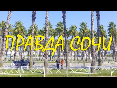 Видео: В чем проблема жизни в Сочи?