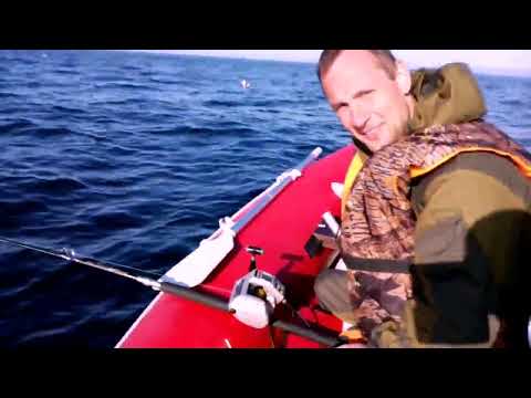Видео: Морская рыбалка в Ура-Губе