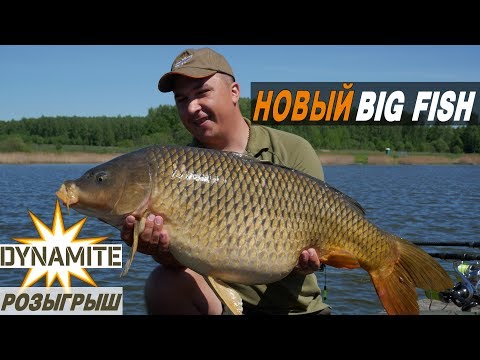 Видео: 4 СХОДА РАДИ ТРОФЕЯ. ОДИН НА РЫБАЛКЕ ВЕСНОЙ. Солянка, тактика ловли, розыгрыш..