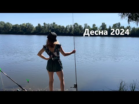 Видео: Отдых на Десне 2024. Кемпинг на природе