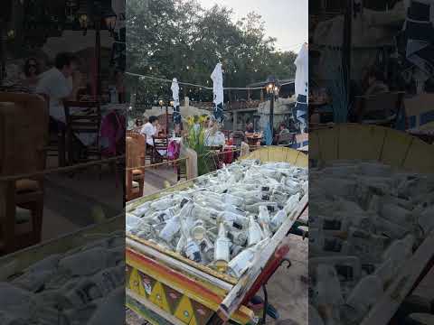 Видео: Жизнь отдельных туристов на отдыхе, 🇧🇬сплошной релакс